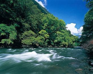 微软《极限竞速：地平线4》将于12月下架