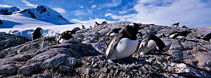 《暗邪西部》上市预告公开 根除吸血鬼的威胁